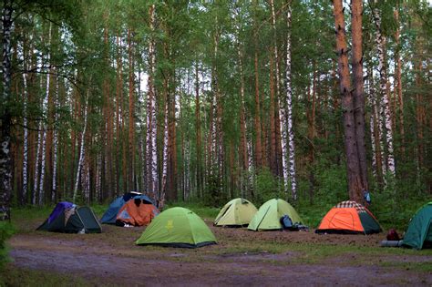 Участие в спортивных мероприятиях и активном отдыхе на природе