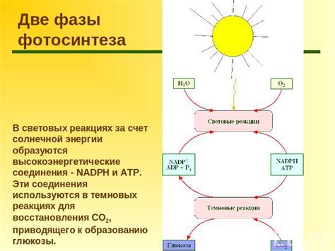 Фазы восстановления энергии