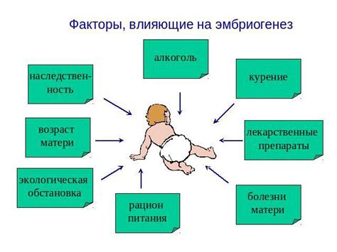 Факторы, влияющие на длительность беременности