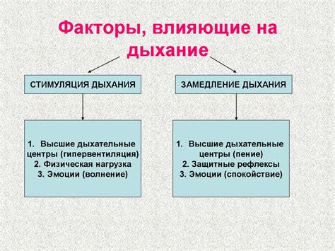 Факторы, влияющие на нормальное дыхание у молодого пса