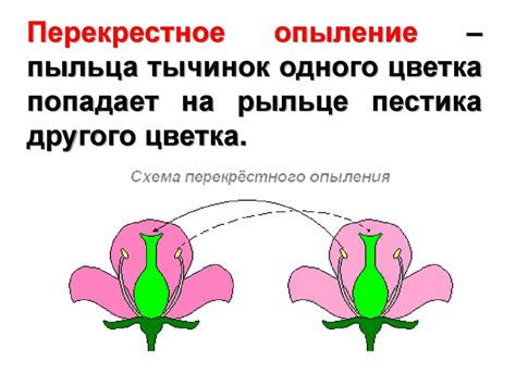 Факторы, влияющие на оплодотворение растений