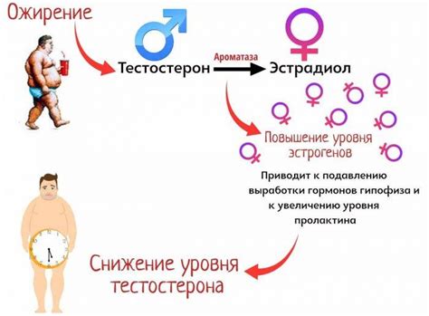 Факторы, влияющие на повышенный уровень мужских гормонов у женщин