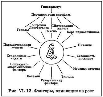 Факторы, влияющие на рост числа пенсионеров