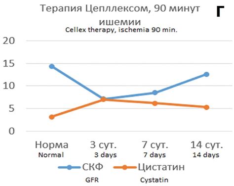 Факторы, влияющие на уровень цистатина С в крови