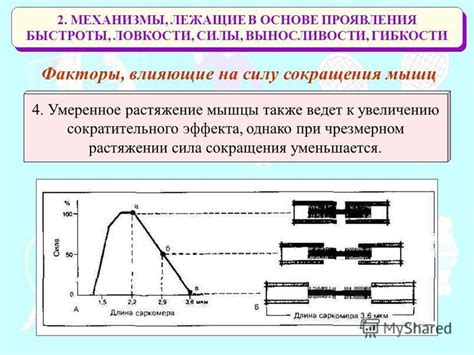 Факторы, лежащие в основе сновидений о разливе воды