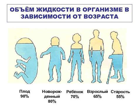 Фенотипические особенности сновидений в зависимости от группы жидкости в организме