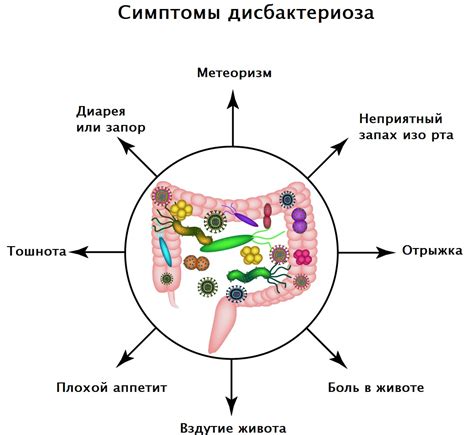 Ферментная недостаточность и дисбактериоз