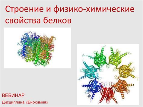 Физико-химические свойства сметаны: текстура и консистенция