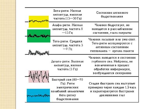 Физиологические аспекты взвешивания во время сна