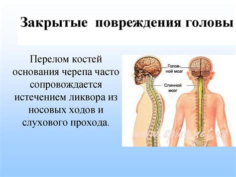 Физиологические причины сдавливания грудной клетки