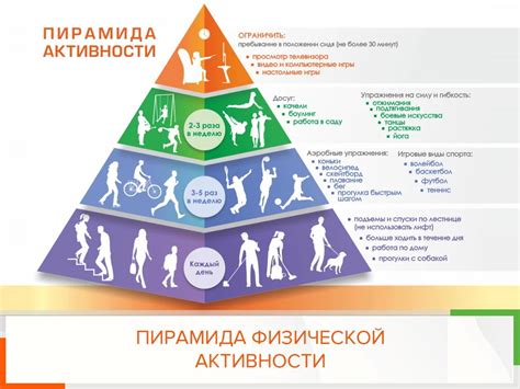 Физическая нагрузка и уровень физической активности