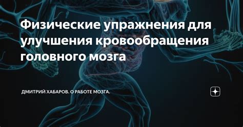 Физические упражнения, способствующие улучшению кровообращения