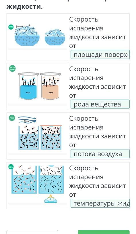 Физический феномен: почему разная скорость испарения жидкостей