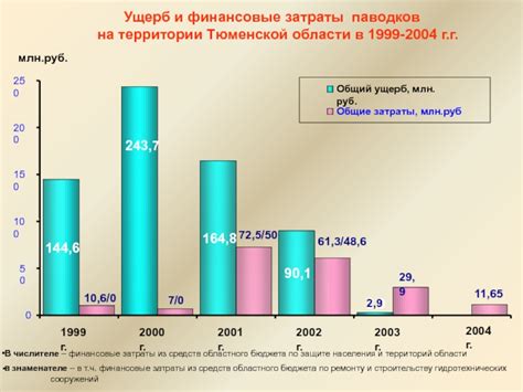 Финансовые затраты: ущерб для кошелька