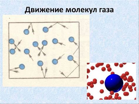 Флуктуация и движение молекул