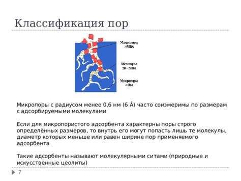 Фораминиферы: открытые поры и закрытые микропоры