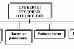 Формирование трудовых отношений