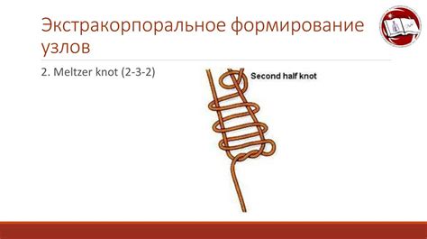 Формирование узлов в змеиной последовательности