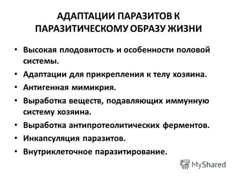 Формы и символы, привязанные к телу: особенности осиных талий в сновидениях