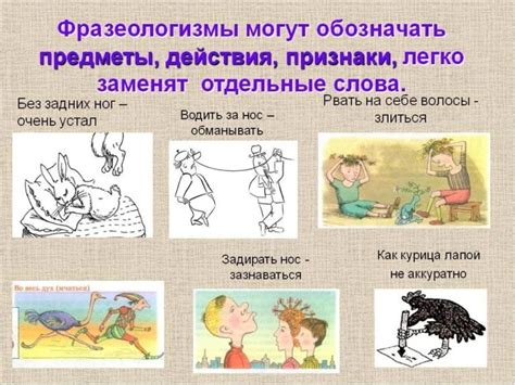 Фразеологизмы в литературе и речи