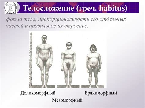 Французские философы: развитие медицинской антропологии