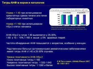 Функции антинуклеарного фактора