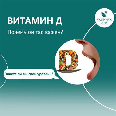 Функции витамина Д