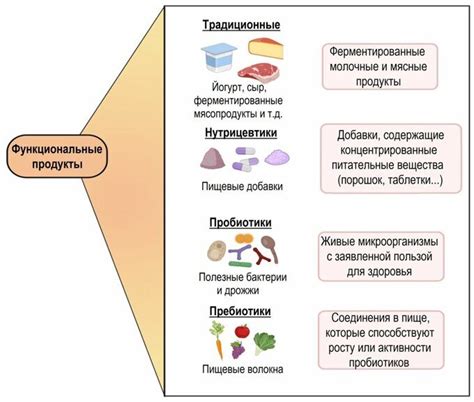 Функциональные продукты: принципы и сущность