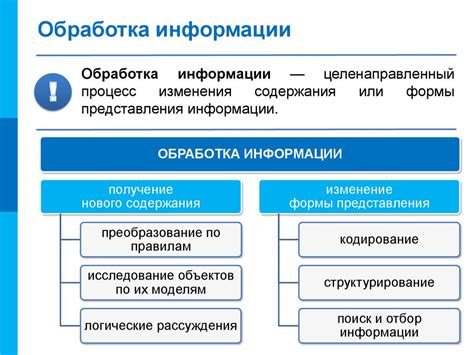 Функция сновидений в процессе обработки информации