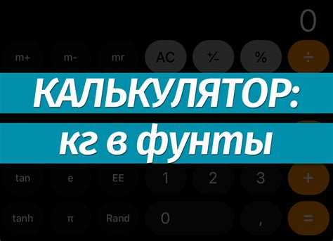 Фунт в кг: какова его стоимость в России?