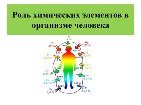 Химические реакции в организме во время состояния покоя