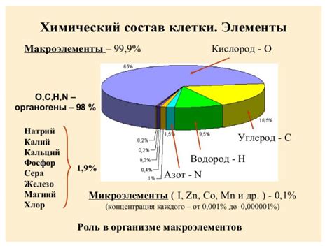 Химический состав пены