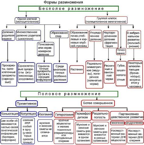 Царство растений и царство животных: основные различия