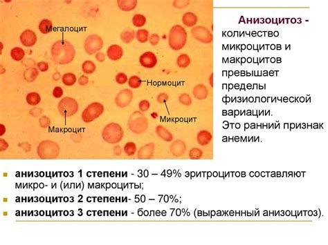 Цветовые особенности эритроцитов