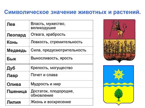 Цветущие мечты: глубокое символическое значение цветов на деревьях