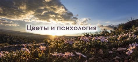 Цветы и психология