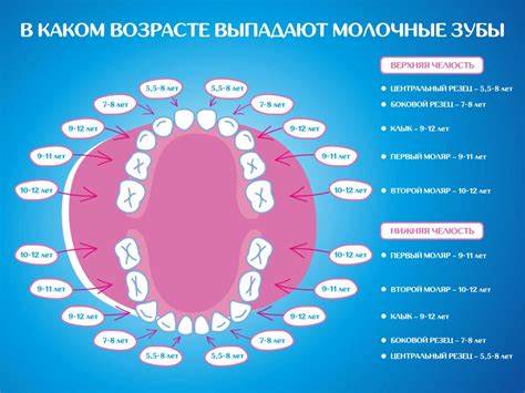 Цикличность снов и символика выпадения зубов