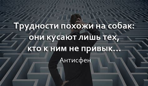 Цитаты или выделение фразы