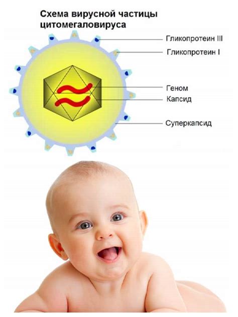 Цитомегаловирус у детей: первые признаки болезни