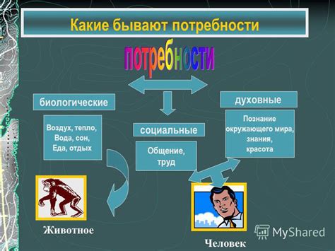 Человек и животное: одинаковые потребности