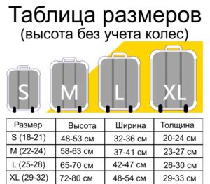 Чемоданы для двух пассажиров: правила перевозки и вес