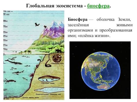 Чем отличается техносфера от биосферы БЖД