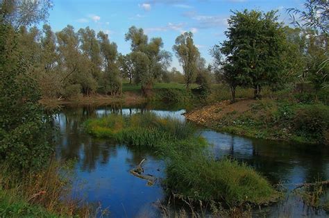 Черемшанская пойма - разнообразие флоры и фауны на берегах реки Черемшан