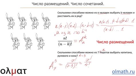 Число размещений: что это и для чего оно нужно