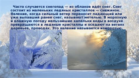 Что выбрать: солнечную зимнюю погоду или печальный снегопад?