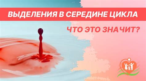 Что вызывает выделения в середине цикла?