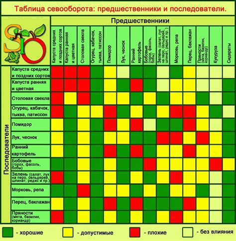 Что высаживать после репы на следующий год