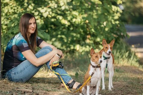 Что делать, если вас укусила собака на улице