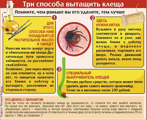 Что делать, если клещ укусил кормящую маму?