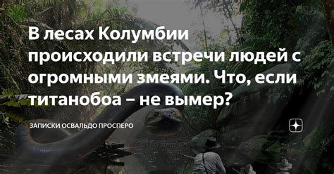 Что делать, если сновидение с двумя змеями вызывает беспокойство: практические рекомендации